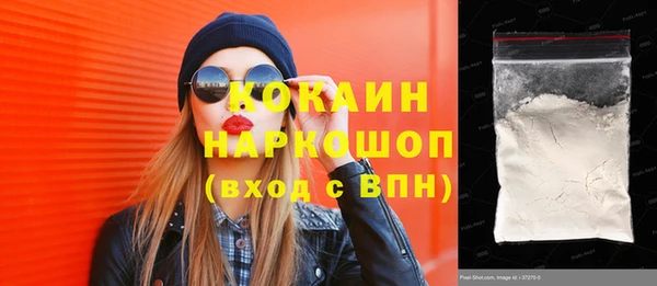 хмурый Бородино