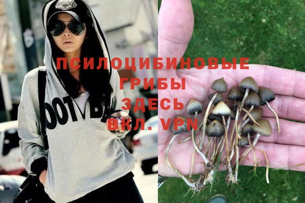 мяу мяу мука Бронницы