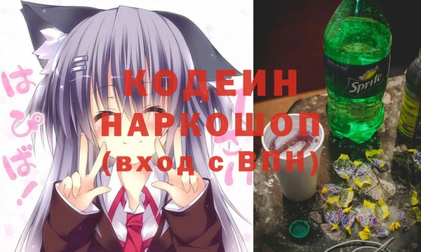 хмурый Бородино