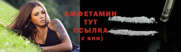 хмурый Бородино