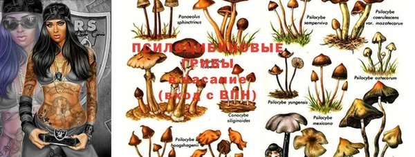 хмурый Бородино