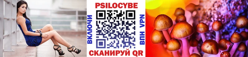 Купить закладки  Котово  Галлюциногенные грибы Psilocybe 